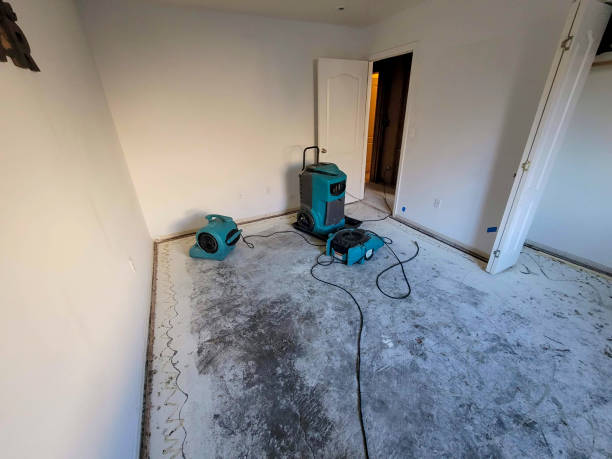 Best Mold removal after water damage  in Eatontown, NJ