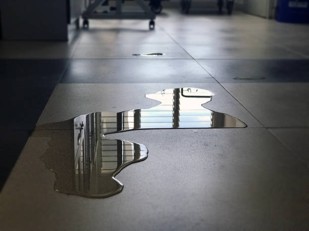 Best 24/7 water damage repair  in Eatontown, NJ