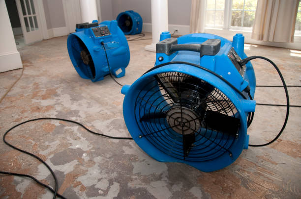 Best Basement water damage restoration  in Eatontown, NJ