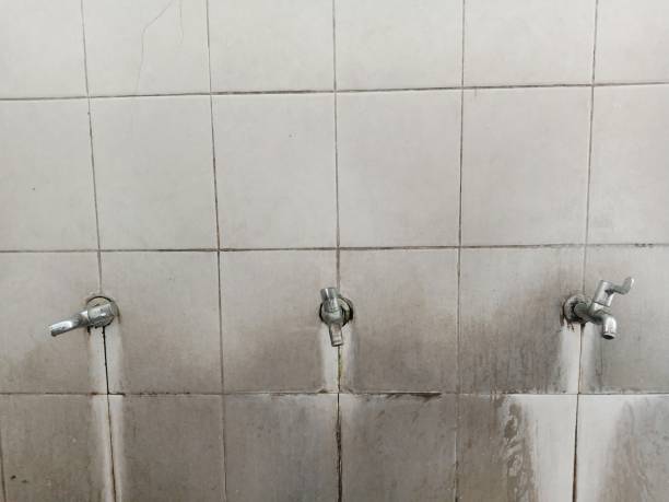 Best Water damage restoration mold remediation  in Eatontown, NJ