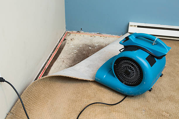 Best 24/7 water damage repair  in Eatontown, NJ